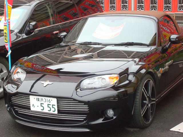 Copie de DSC02472.JPG