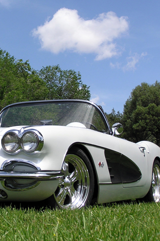 cars010.jpg