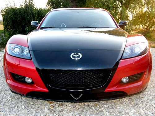 042modif.JPG