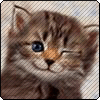 Avatar de l’utilisateur