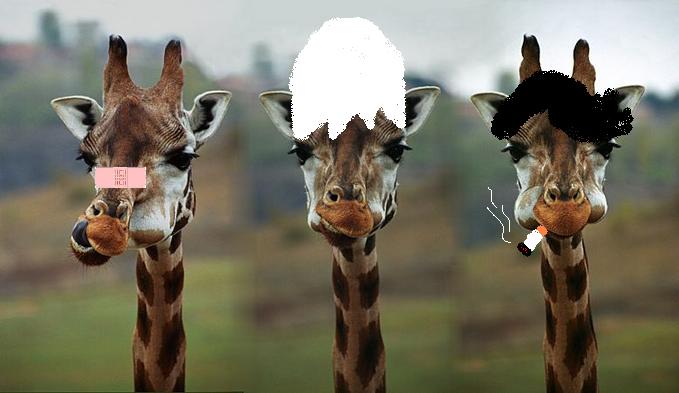 giraffeya1.jpg