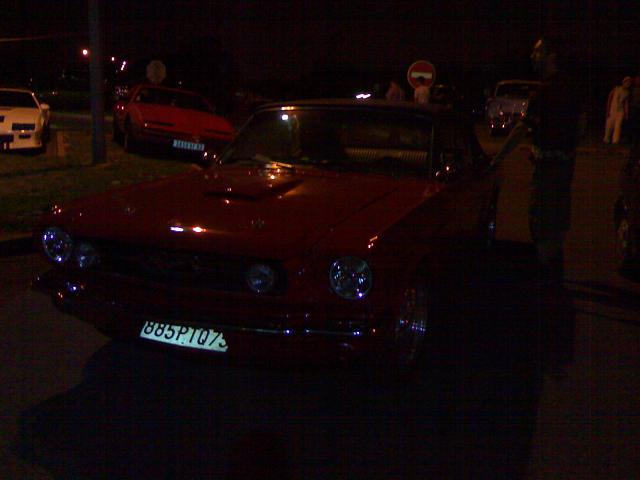 mustang !!!!