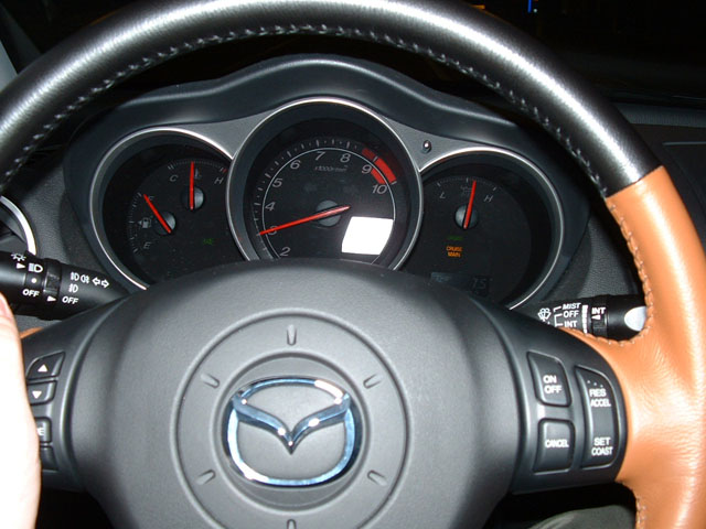 Cruise-control_3.jpg