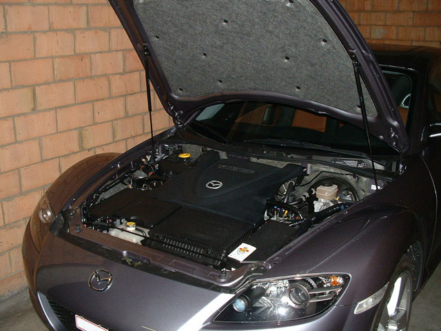Bonnet-dampers.jpg
