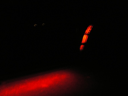 P1050004.JPG