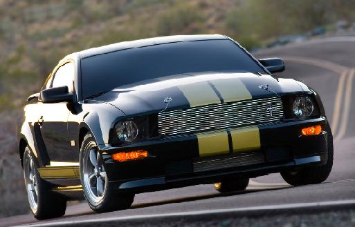 shelby.JPG