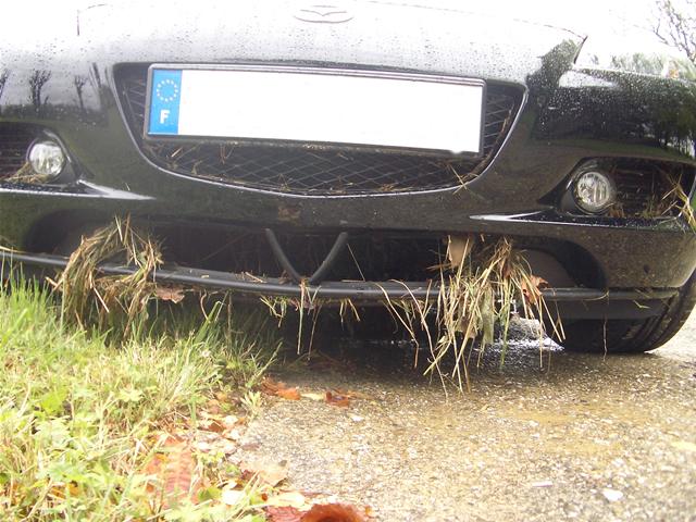 inondation0.jpg