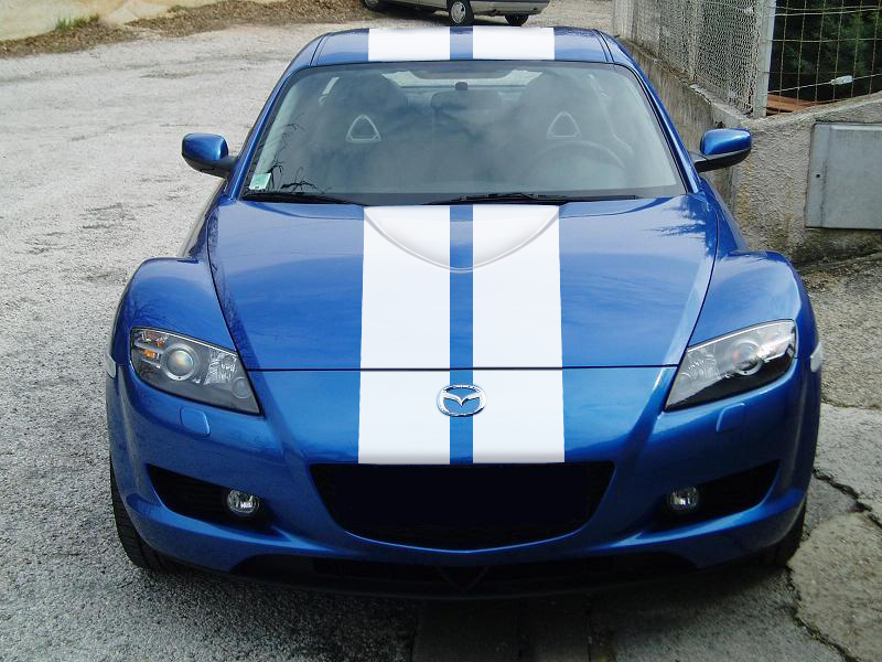 Façon Viper