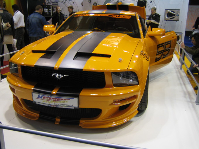 IMG_1795_1_1.JPG