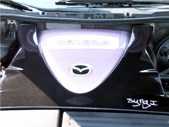 PICT0066.JPG