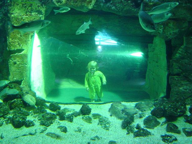 Ouh qu'il est bizarre ce poisson :-D