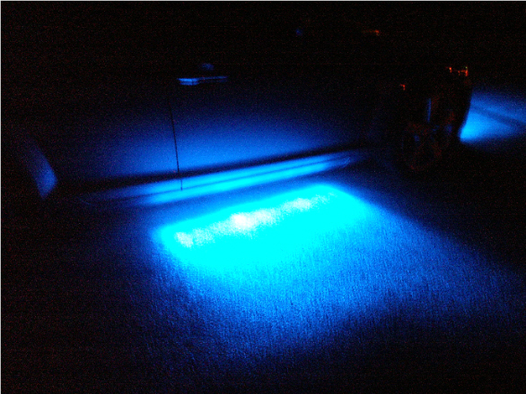 neons (1).JPG