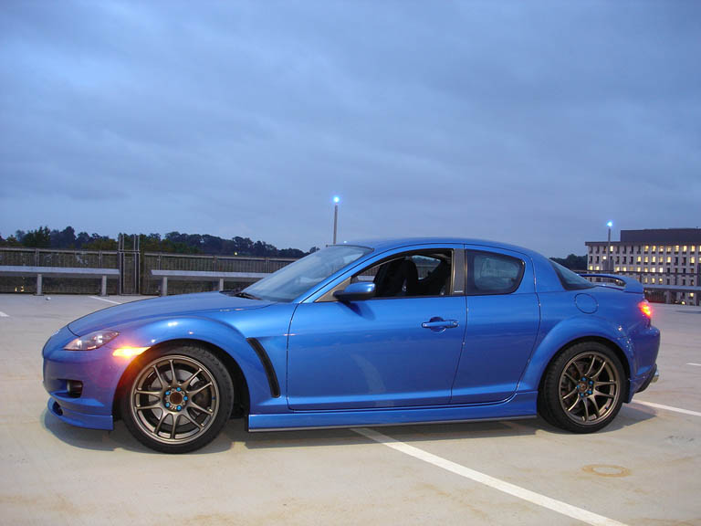 whip 3.jpg