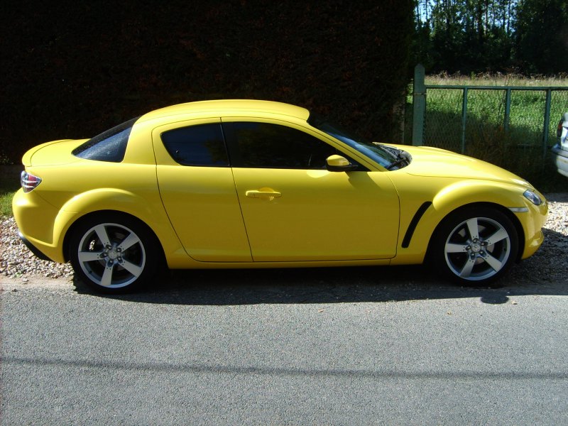 S5002589.jpg