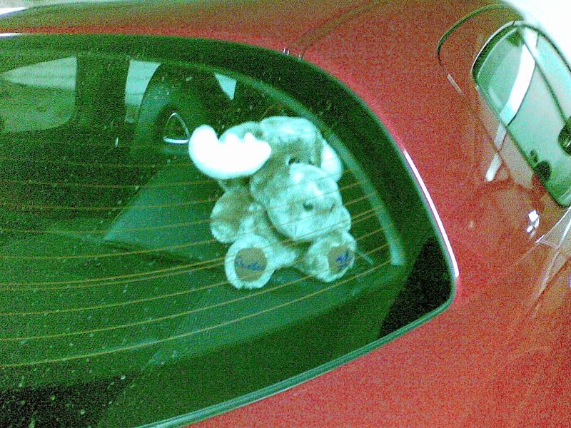 25112007.jpg