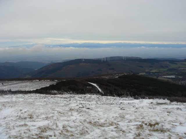 DSC01791.JPG