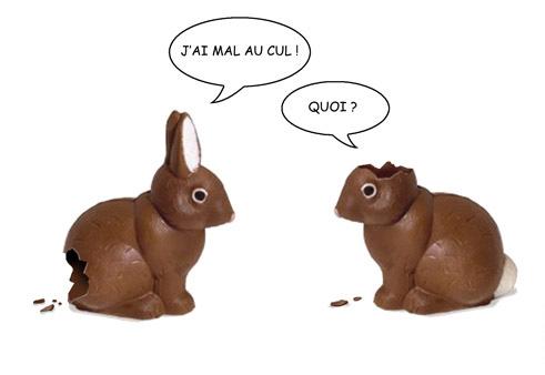 lapins.JPG