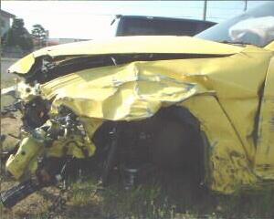 yellow2.JPG