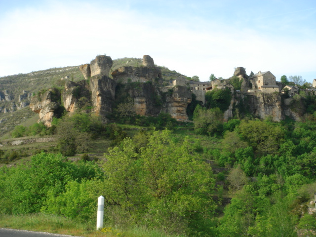 DSC02012.JPG