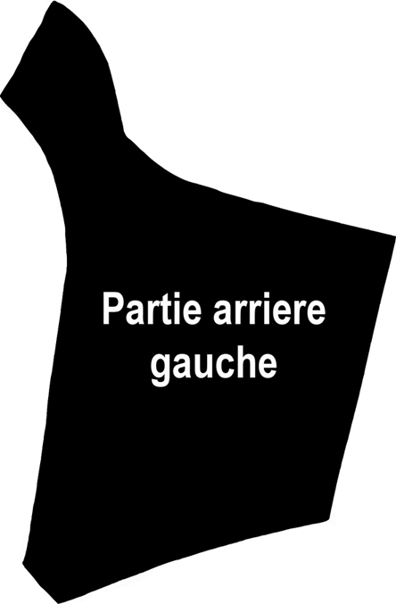 rotor arriere gauche.jpg