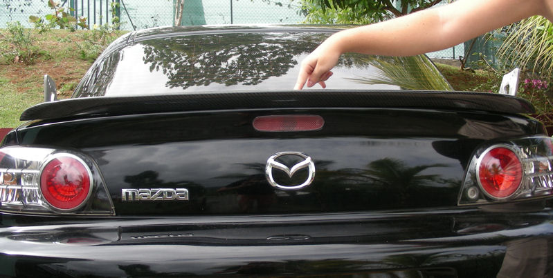 dscn9137.jpg