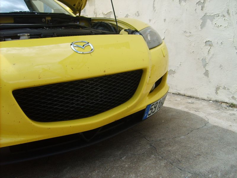 S5005711.jpg