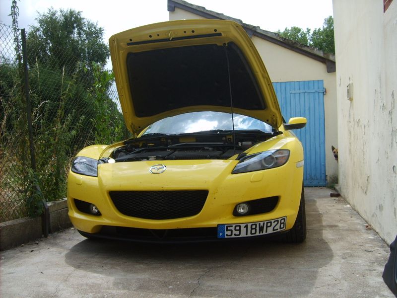 S5005710.jpg