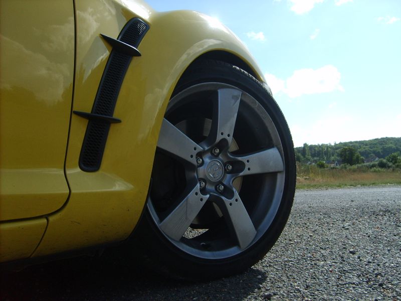 S5006028.jpg