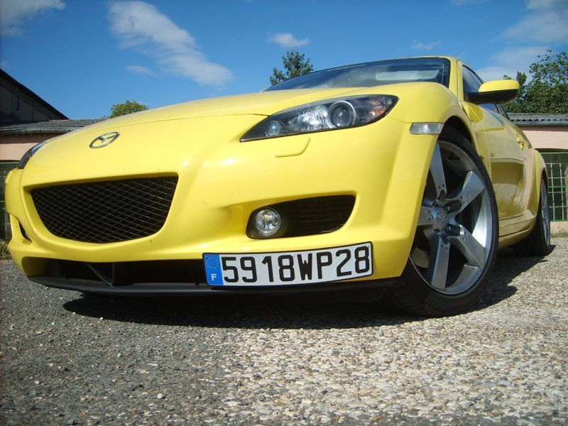 S5006029.jpg