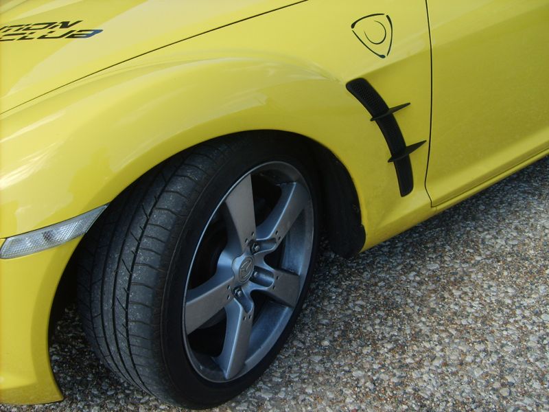 S5006026.jpg