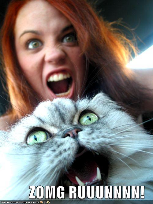 funny-pictures-zomg-run-cat-woman-screams.jpg