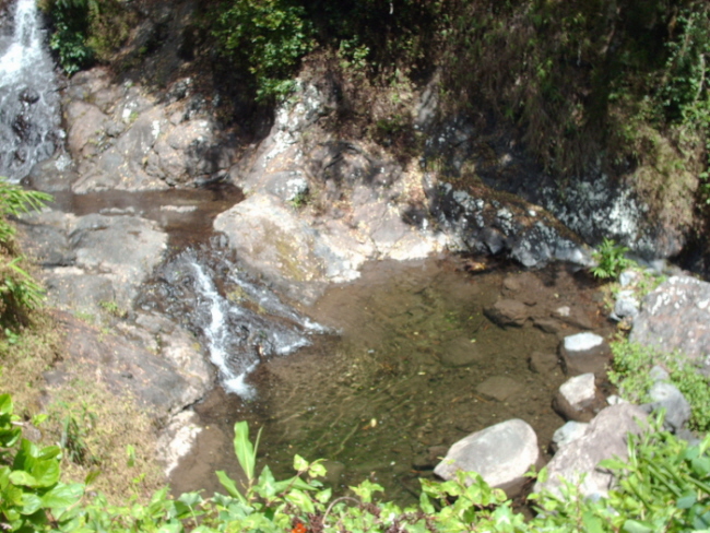 HPIM0957.JPG