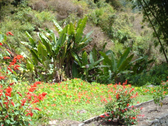 HPIM0970.JPG