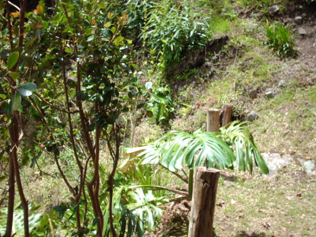 HPIM0986.JPG