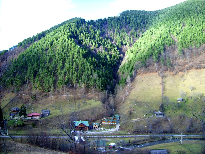 DSCI0017.JPG