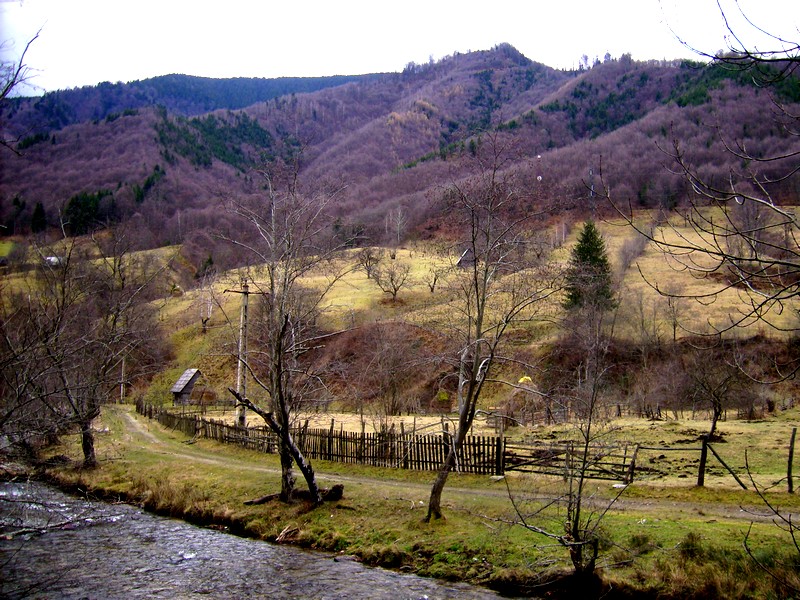 DSCI0037.JPG