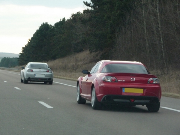 P1000397-600.jpg