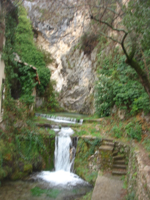 DSC04277.JPG