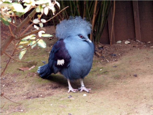 PICT4465.JPG