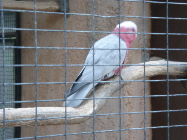 DSC04241.JPG