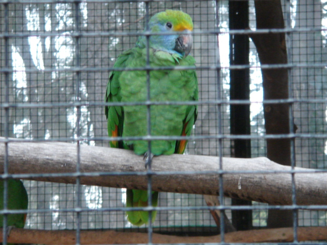 DSC04242.JPG