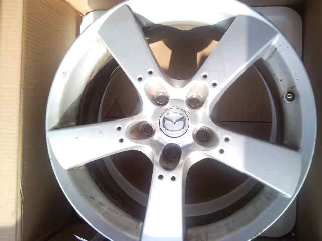 SNC00292.jpg