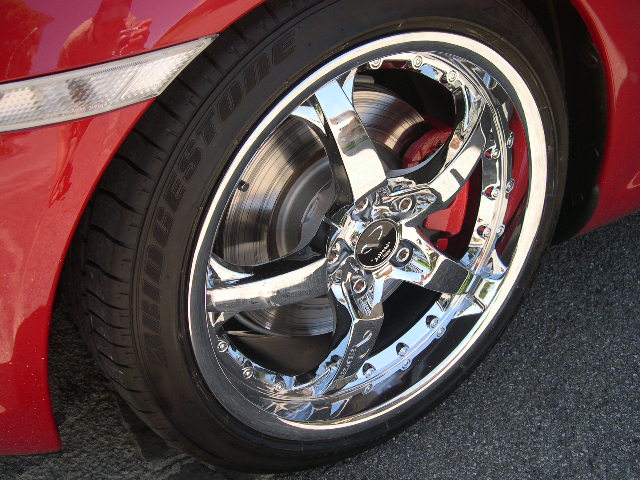 JANTES BARRACUDA VELVET 010.jpg