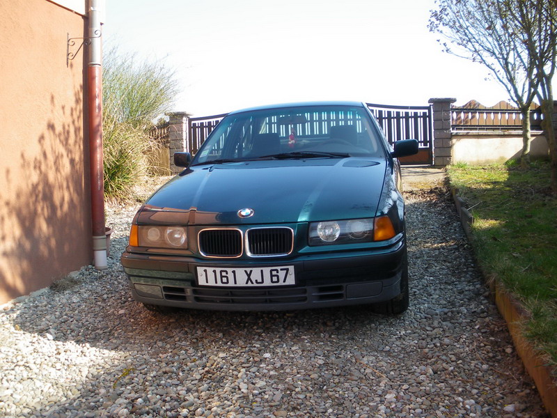IMGP0116.jpg