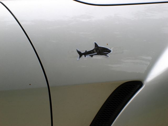 requin3-rx8.jpg