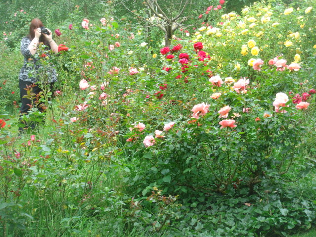 DSC04624.JPG