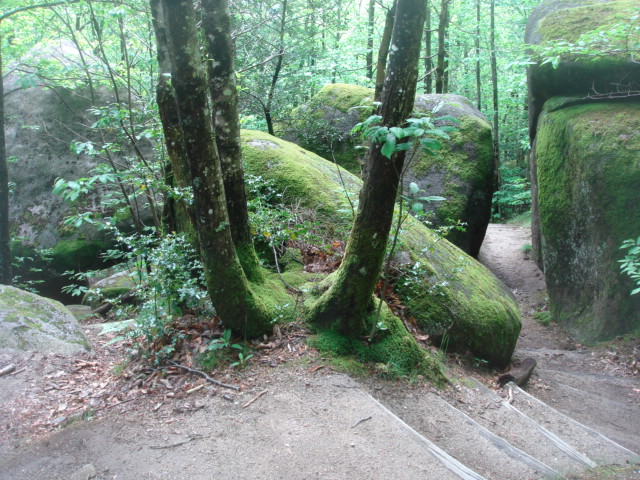 DSC04636.JPG