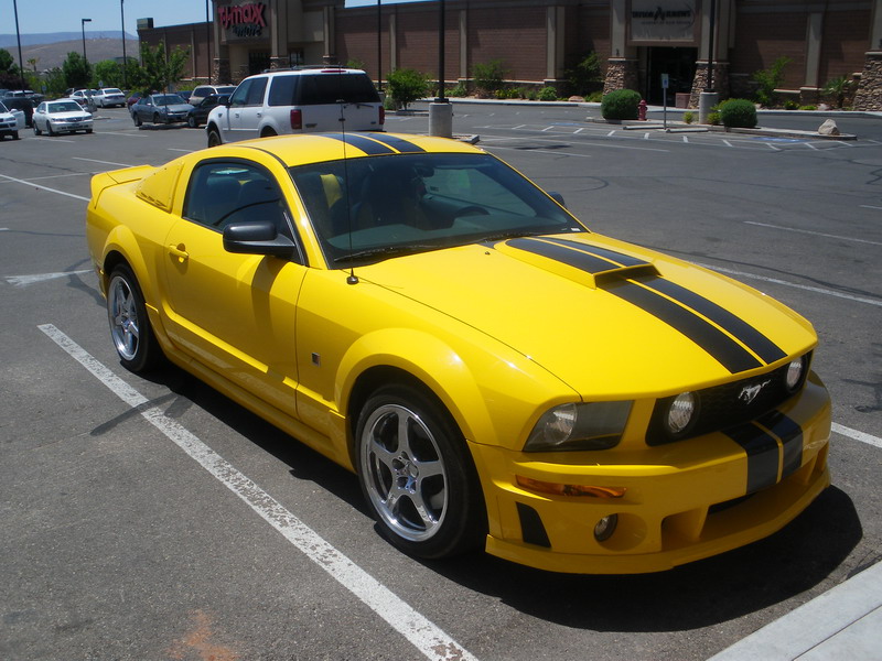 900 (267).jpg
