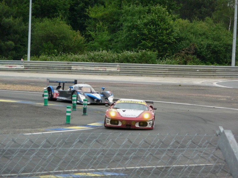 P1010382-800.jpg