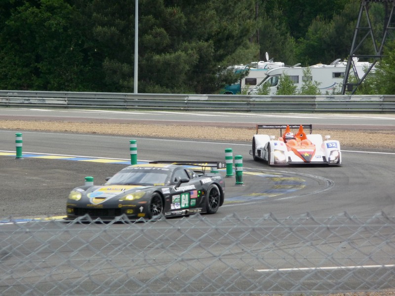 P1010419-800.jpg
